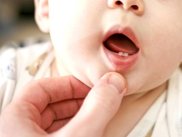 Close up of hand gently pulling down lower lip of baby
